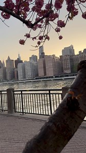 Walking in New York City, Roosevelt Island 🇺🇸🇺🇸 | New York Photo
