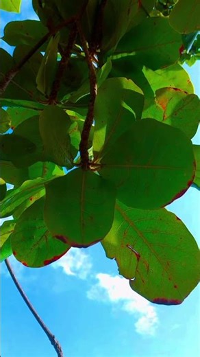 Soft afternoon with cinematic view beach