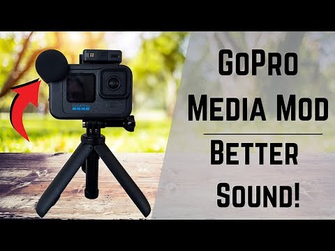 Is the GoPro Media Mod Worth It?! Listen and Decide!