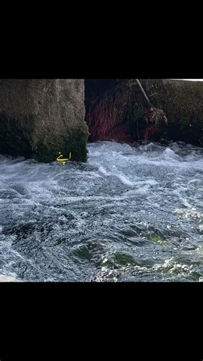 Nusrat Fateh Ali Khan ❤️‍🩹🥺#foryou #fyp #nusratfatehalikhan