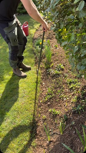 Alexander hayden | Time for some spring lawn edging touch ups!#satisfyingvideos #edgeing #spring #gardening #work #oddlysatisfying | Instagram
