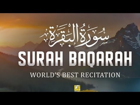 Surah Al- Bakarah | Quran Recitation |Quran Verses |#quran #albakarah #quranrecite #quranicblessings
