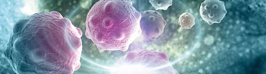 DPYD Genotyping - Yourgene Health