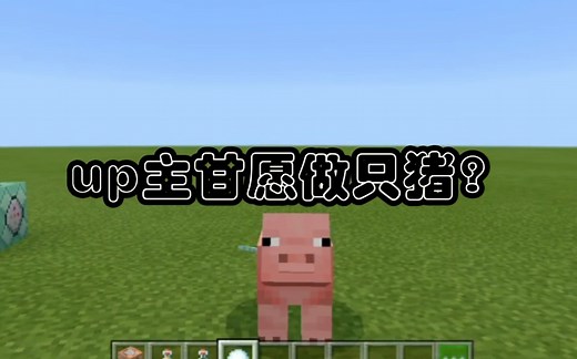 《我的世界》用指令变成一只猪？指令教学 网易可用