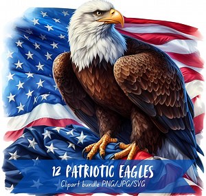 Patriotic Eagle Clipart Bundle Eagle Patriotic Graphic Bald Eagle Digital Art American Flag Eagle Clipart Eagle Patriotic PNG American Flag - Etsy