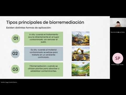 7 Sneither y Quiñonez