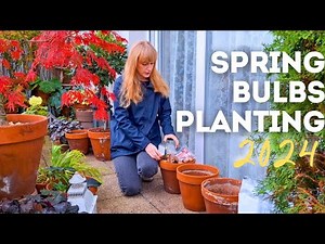 2024 Spring Bulbs Planting In My Shady Container Garden