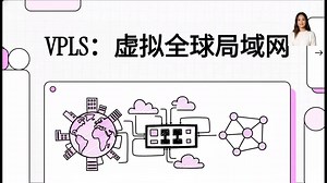 VPLS：虚拟全球局域网
