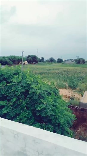 Exploring Saudi Arabia: Travel Tips and Insights