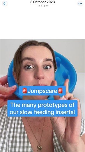 The Design Process of Slow Feeding Inserts Explained