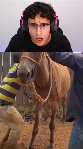 THE GUY ON THE MOTORCYCLE!! #memes #react