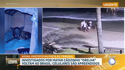 Segundo a investigação, os suspeitos teriam deixado o país depois da morte do animal para uma viagem para a Disney, nos Estados Unidos. A polícia cumpriu dois mandados de busca e apreensão e recolheu os celulares dos dois adolescentes investigados. Ao todo, quatro adolescentes são apontados como os autores do espancamento que resultou na morte do cão comunitário Orelha.#CidadeAlerta | Cidade Alerta