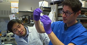 UC San Diego researchers use stem cells, 3D-printing to treat spinal cord injuries