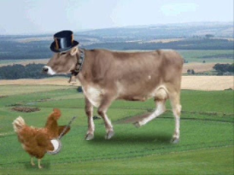 Brown Chicken Brown Cow Song
