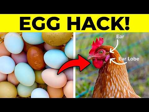 100 Facts About Life You Won't Believe You Didn't Already Know