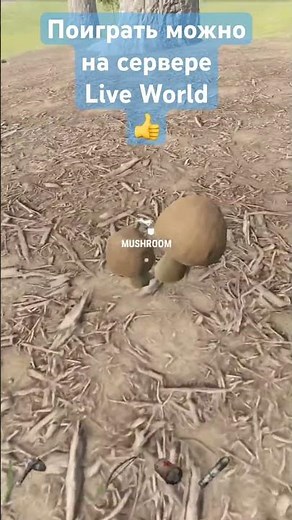 2015 vs 2025 Rust Mushroom Comparison