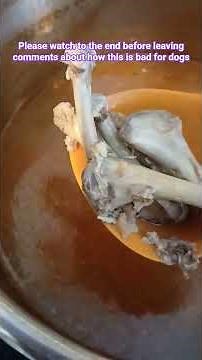 How I Safely Pressure Cook Chicken Bones for Farm Dogs 🐕 | Bone Broth & Scrap Stew