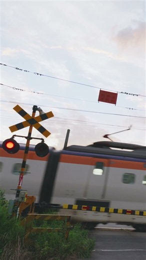 【踏切】カンカン音と電車通過｜JR 山形新幹線｜新幹線 つばさ｜奥羽本線｜ASMR｜Railroad Crossing