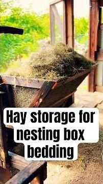 DIY Coop Hay Storage for Free Nesting Box Bedding (Easy Build!)