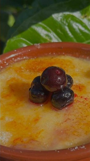 The Easiest Crema Catalana Recipe Ever, Crispy Top & Creamy Inside😍