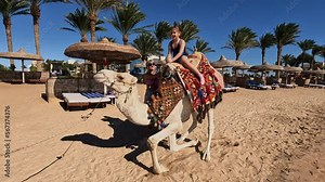 Egypt tourism with camel riding back, traditional entertainment. Girl rides oont driven on rope along beach background of sea and sky.