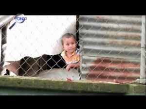 Introduction to Safe Passage - Camino Seguro