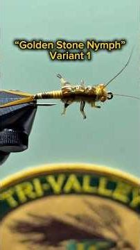 “Golden Stone Nymph” Variant 1 #fishing #stone #fly #nymph #fyp #trending #viral #flyfishingshow