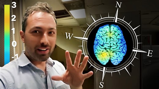 What Really Happens When Magnetic Fields Hit The Human Brain