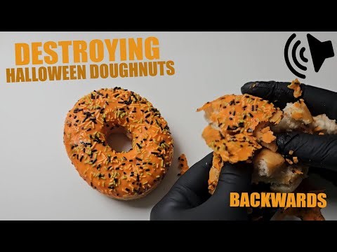 PUMPKIN DOUGHNUTS [In Reverse] #559