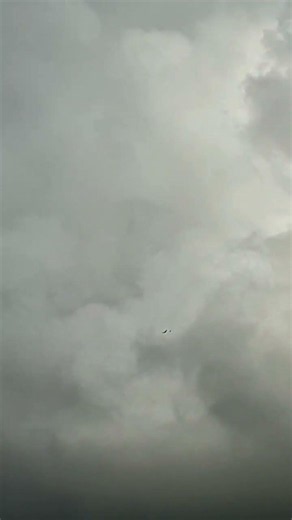 Swabianman and his Sharon 4200, little flight video.