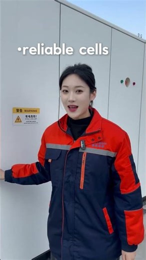 What Big Energy Storage Projects Look for in a Partner