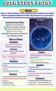 Cell division is the process by which a parent cell divides to form new daughter cells for growth, repair, and reproduction. 🧠 Main Types • Mitosis – Growth and tissue repair • Meiosis – Formation of gametes ✨ Short | Clear | Exam-oriented #CellDivision #Mitosis #Meiosis #BiologyNotes #CellBiology #ScienceStudy #QuickRevision | Josh Study point