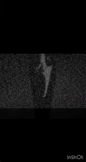 They have found you. #analoghorror