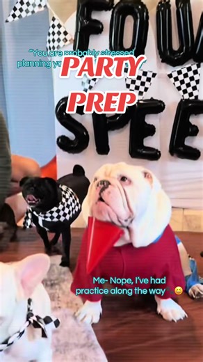 Fur Baby's Birthday Party Prep