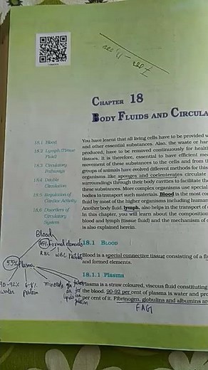 Body fluids and circulation