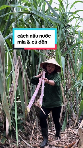 Cách nấu nước mía củ dền bổ huyết, hồng hào da