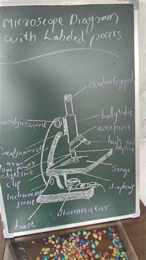 microscope diagram with label parts #education