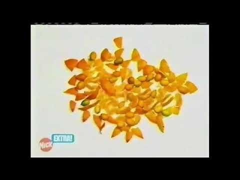 Nickelodeon Commercial Break (February 19, 2007) #2