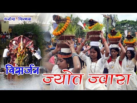 Jawara Visarjan | जंवारा विसर्जन | dhanora