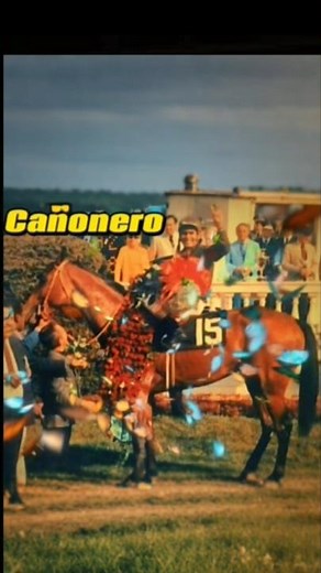 Cañonero Derby de Kentucky 1971🏇🏇