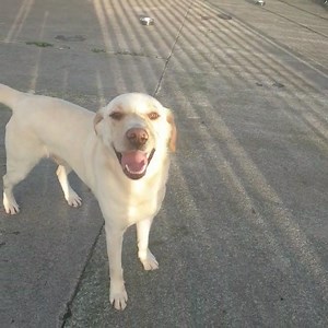 3.4K views · 140 reactions | ***** SORTED! Update t/c later**** VERY...