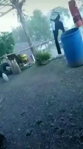 221K views · 1K shares | ERUPTION: Indonesia’s Mount Ile Lewotolok volcano sent a column of ash more than 13,000 feet into the sky, prompting the evacuation of thousands of people. https://abcn.ws/3lleMyQ | ABC News | Facebook