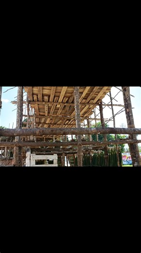 👑🐂🎉RUEDO ARTESANAL DE TIZIMÍN AL 75% A POCOS DÍAS DE LA FERIA DE REYES 2026🎉🐂👑 👉 #Tizimin La construcción del ruedo artesanal en la plaza de toros de Tizimín está al 75% de avance, a pocos días de iniciar la Feria de Reyes 2026. Los palqueros trabajan a marchas forzadas para concluir el ruedo antes del 30 de diciembre. . . . #FERIAREYES #ruedoartesanal #patrimoniocultural | NT Yucatán