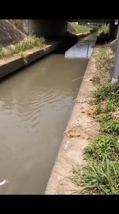 270K views · 1.1K reactions | #musky #pike #fishing #outdoors #pesca | Darren | Facebook