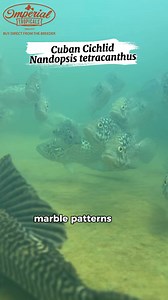 1.7K views · 25 reactions | One of the most striking and powerful...