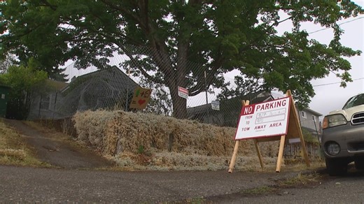 Tree-cutting company owner was unaware of controversy surrounding Douglas fir slated to be cut down