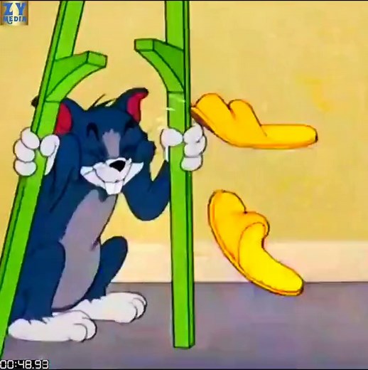 Tom and Jerry - Cartoon Fun with the Two Mouseketeers