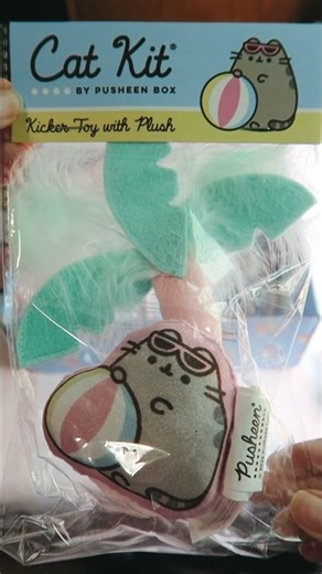 Pusheen Summer Cat Kit Box 2026 #unboxingvideo