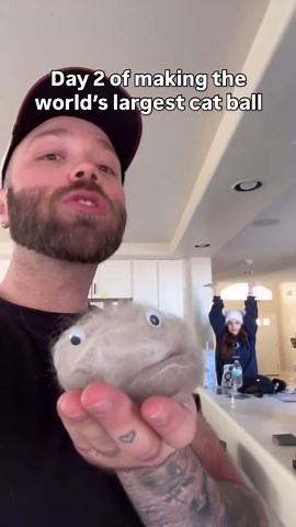 Day Two of Creating Massive Worlds Largest Ever Cat Ball