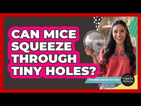 Can Mice Squeeze Through Tiny Holes?
